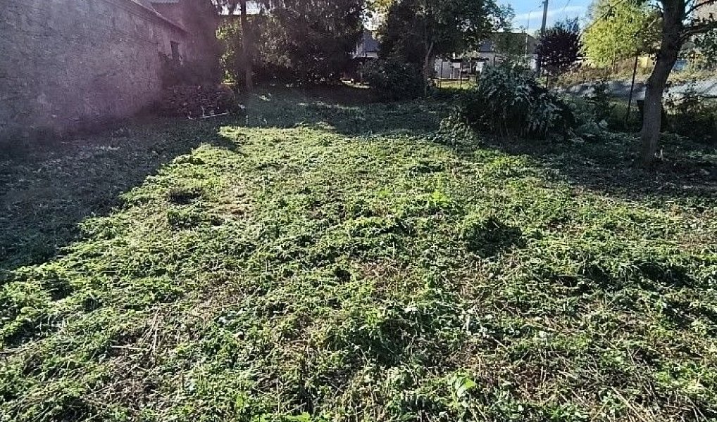 Prodej stavebního pozemku 1 232 m², Hluchov – náhled fotky 11