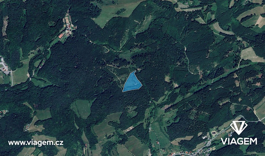 Prodej lesa 21 200 m², Všemina – náhled fotky 3