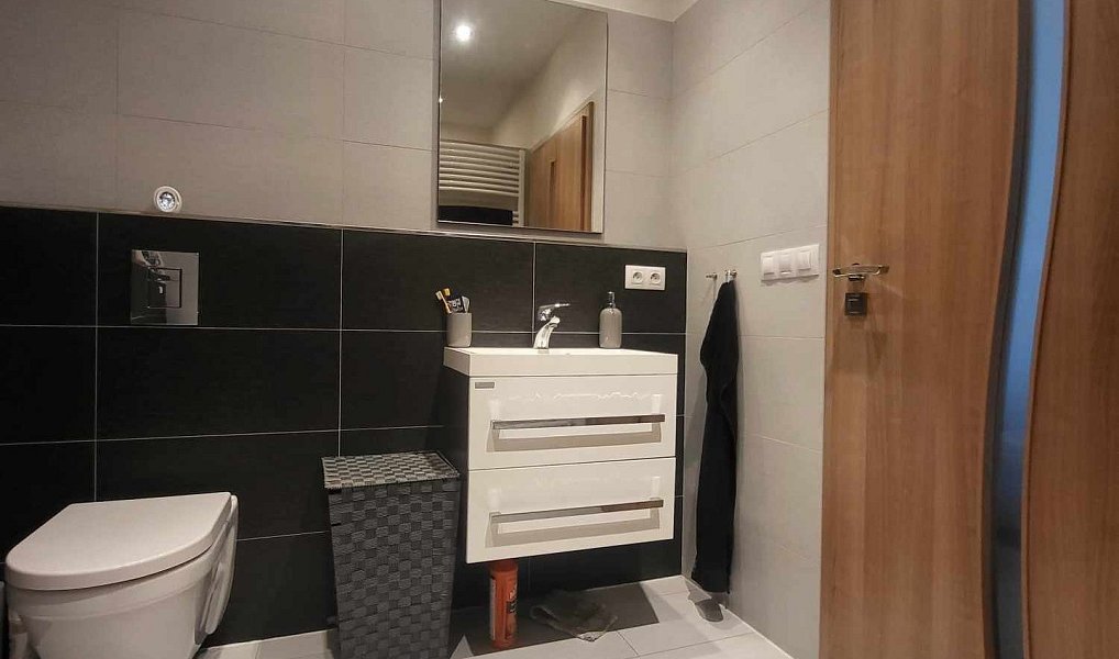 Pronájem bytu 2+kk 49 m², České Budějovice – náhled fotky 8