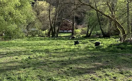 Prodej louky 3 723 m², Malé Kyšice, okres Kladno