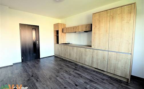Pronájem bytu 1+1 44 m², Plavská, České Budějovice - České Budějovice 7