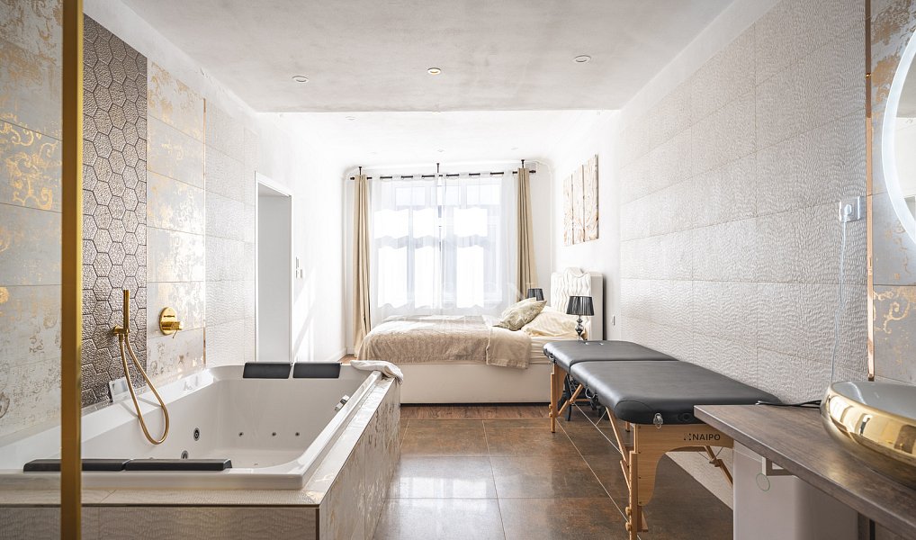 Prodej ubytovacího objektu 597 m², Telč – náhled fotky 18