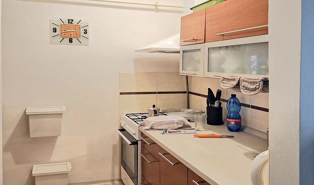 Pronájem bytu 2+kk 49 m², Praha – náhled fotky 2