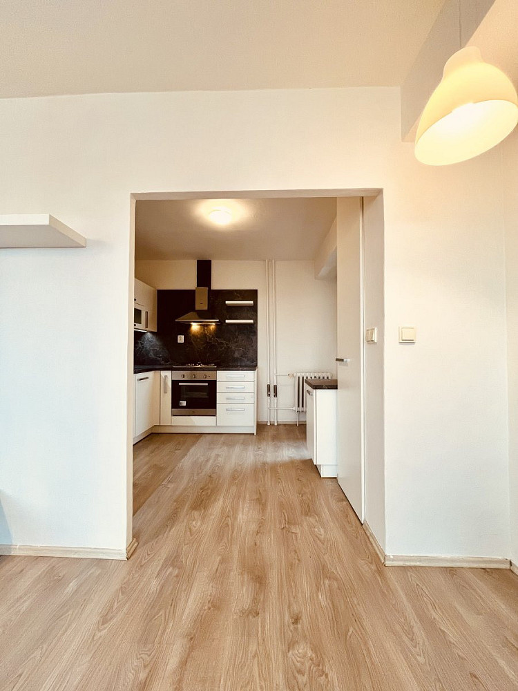 Pronájem bytu 2+1 54 m² – pohled 4
