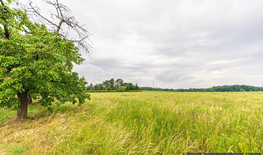 Prodej stavebního pozemku 1 941 m², Kasalice – náhled fotky 9