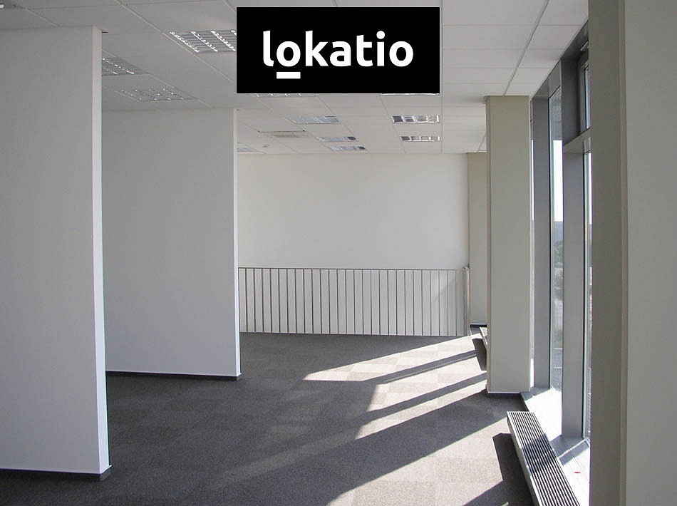 Pronájem skladovacích prostor 5 119 m² - Widok 4