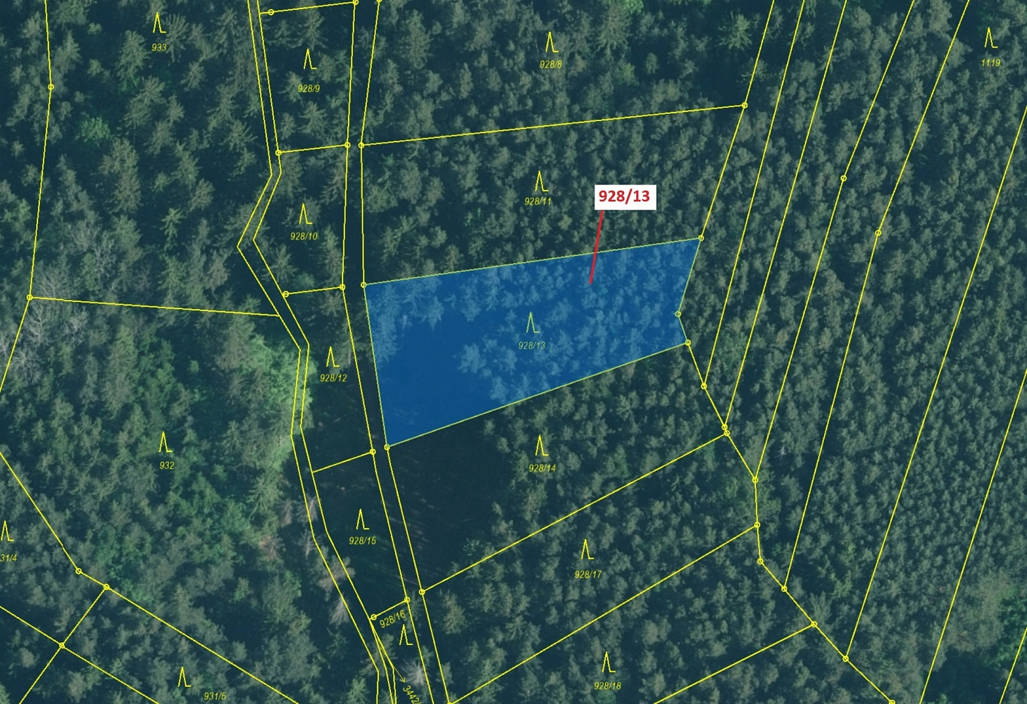 Dražba lesa 1 803 m² — photo 2