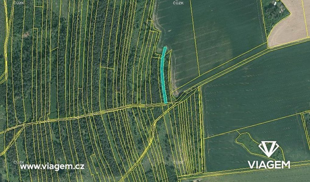 Prodej lesa 1 490 m², Blížejov – náhled fotky 3