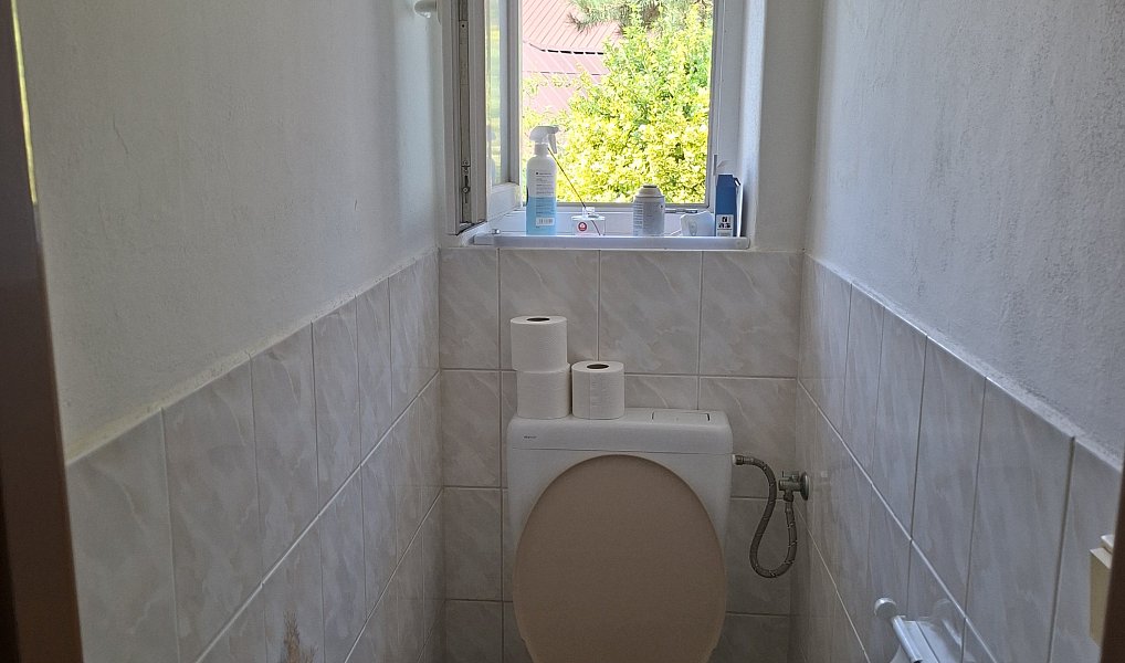 Prodej domu 134 m², Velký Týnec – náhled fotky 12