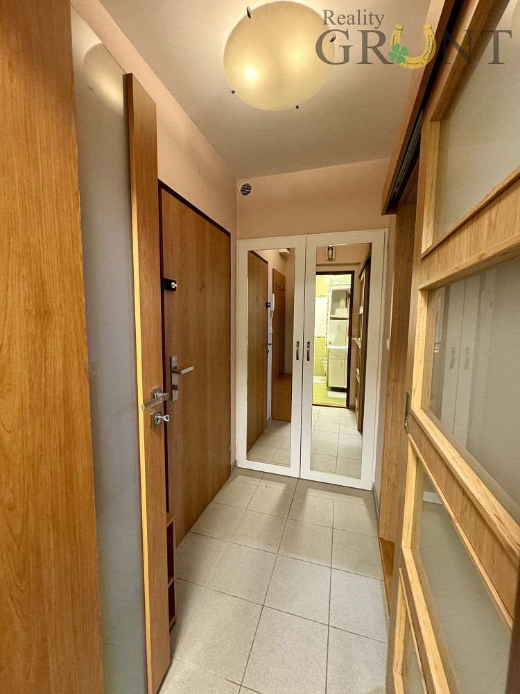Pronájem bytu 2+1 44 m² – fotografie 5