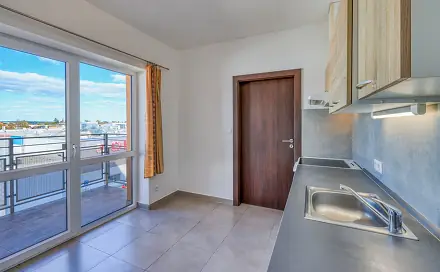 Prodej bytu 2+1 57 m², U Borských kasáren, Plzeň - Jižní Předměstí