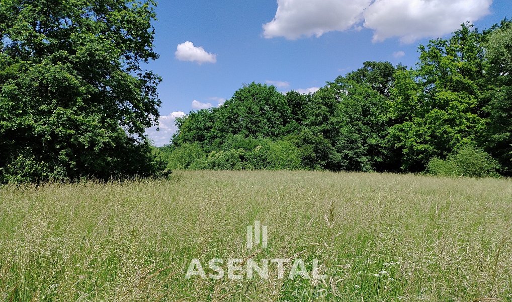 Prodej pozemku 285 924 m², Karviná – náhled fotky 4