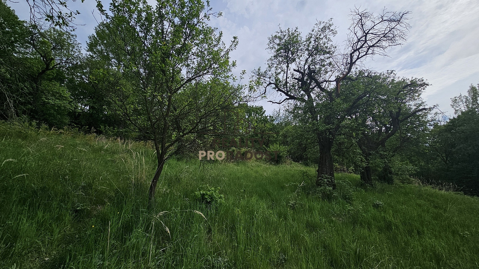 Prodej pozemku 4 253 m² – fotografie 4