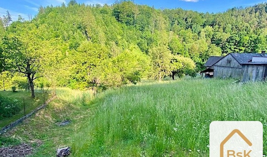 Prodej stavebního pozemku 2 434 m², Koberovy – náhled fotky 12