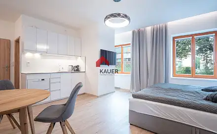 Pronájem bytu 1+1 30 m²