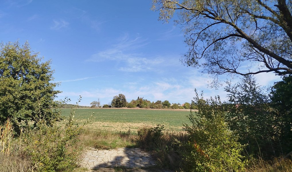 Prodej stavebního pozemku 56 184 m², Ježkovice – náhled fotky 11