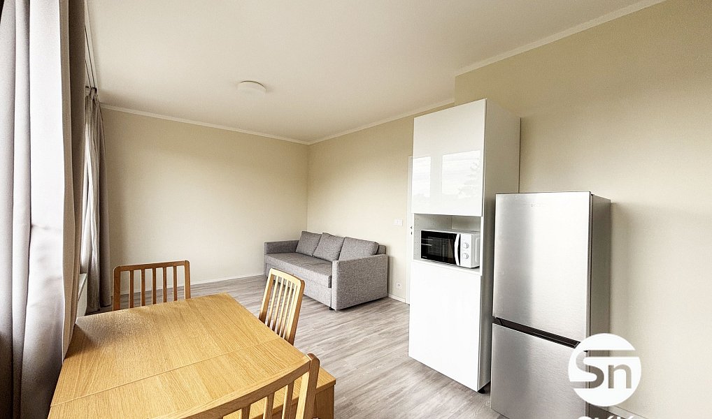 Pronájem bytu 1+kk 33 m², Praha – náhled fotky 4