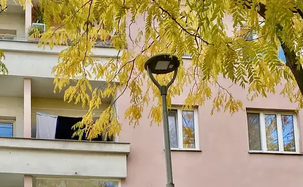 Prodej bytu 2+1 69 m², Kroměříž