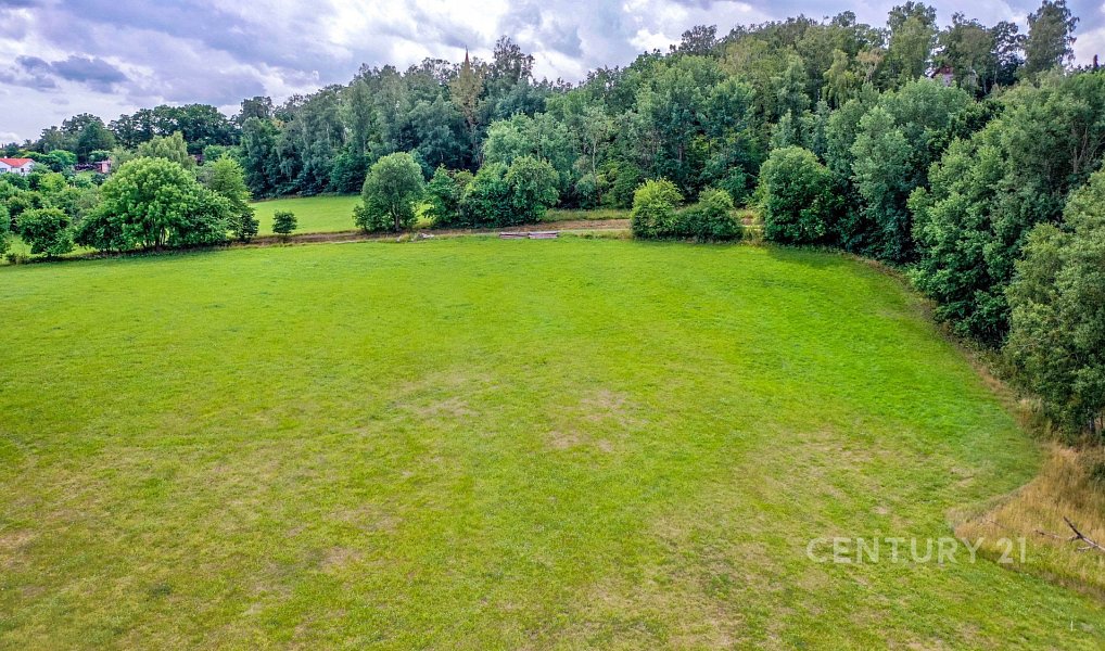 Prodej stavebního pozemku 2 511 m², Bělá pod Bezdězem – náhled fotky 14