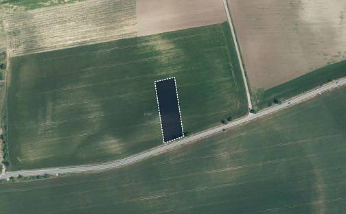 Prodej pole 25 910 m², Žarošice, okres Hodonín