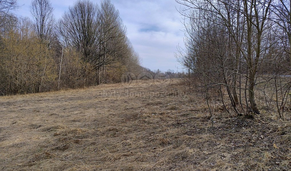 Prodej stavebního pozemku 1 920 m², Dolní Moravice – náhled fotky 6