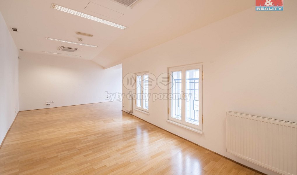 Pronájem kanceláře 171 m², Praha – náhled fotky 14