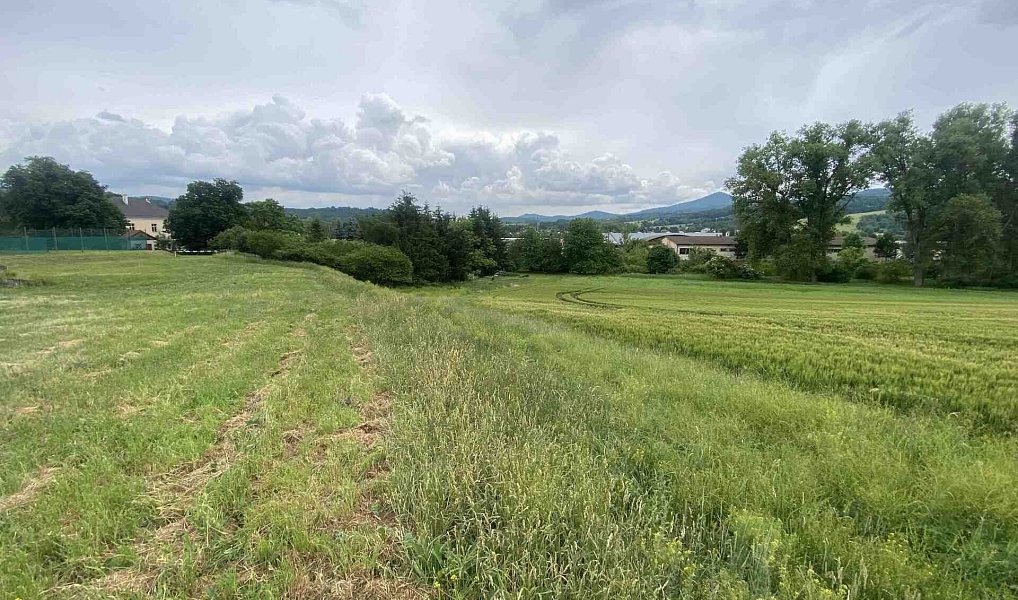 Prodej pozemku 1 561 m², Řehlovice – náhled fotky 4