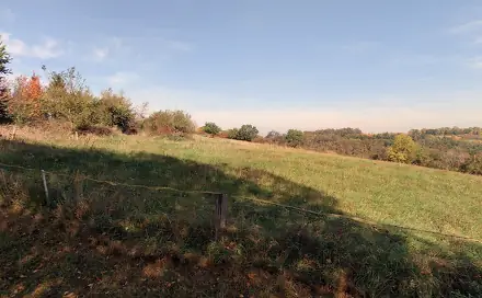 Prodej louky 87 548 m², Kouřim, okres Kolín