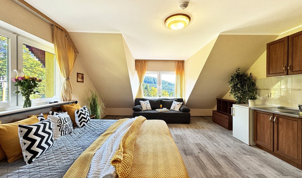 Prodej ubytovacího objektu 454 m², Kubova Huť – náhled fotky 18