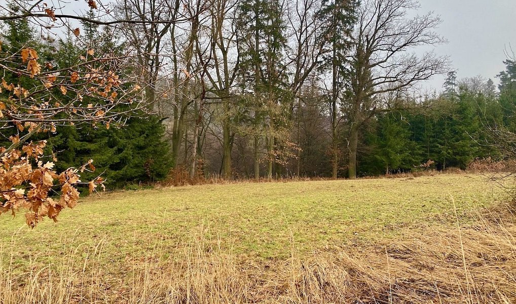Prodej vodní plochy 8 264 m², Ondřejov – náhled fotky 16