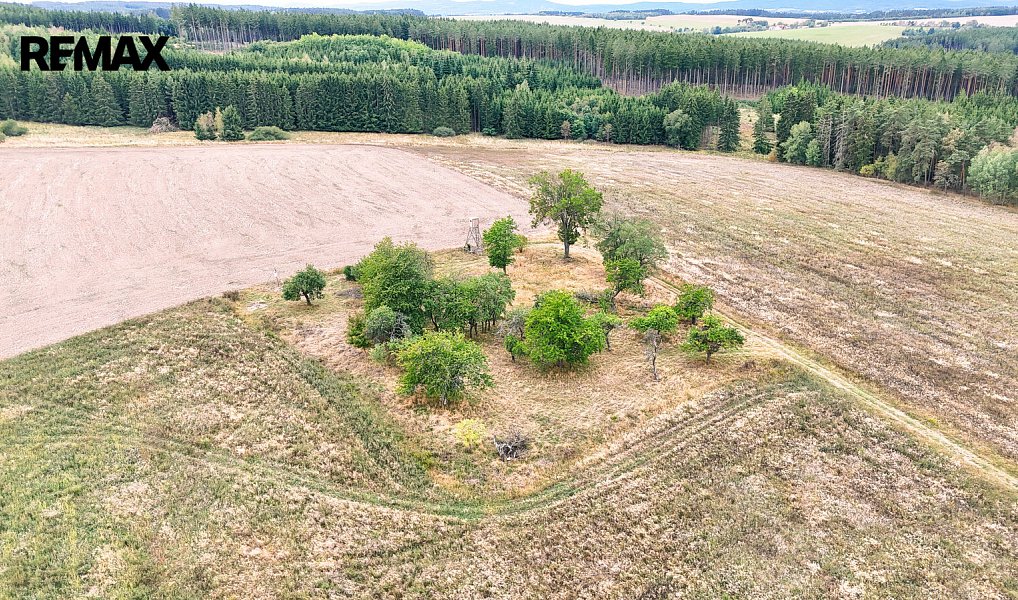 Prodej stavebního pozemku 3 633 m², Ošelín – náhled fotky 20