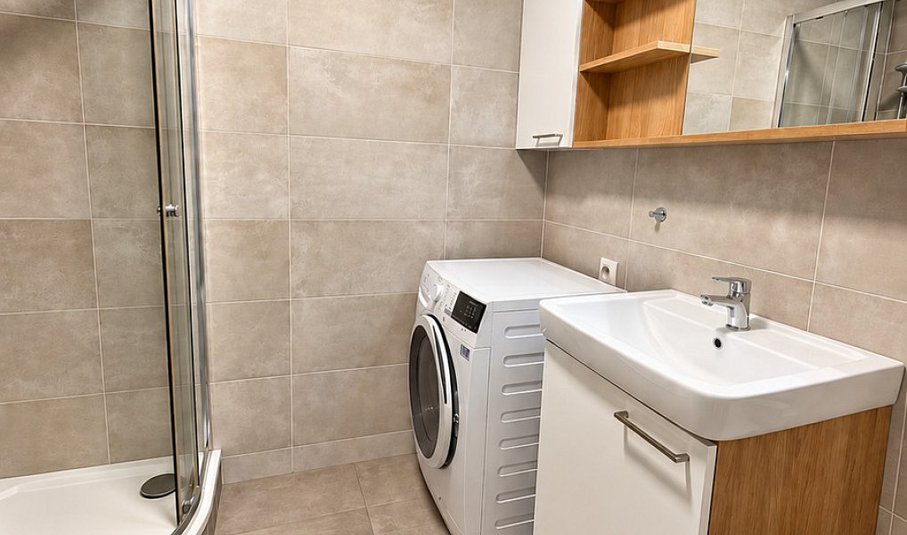 Pronájem bytu 1+kk 31 m², Praha – náhled fotky 6