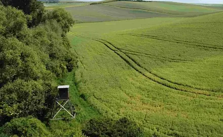 Dražba louky 3 134 m², Letonice