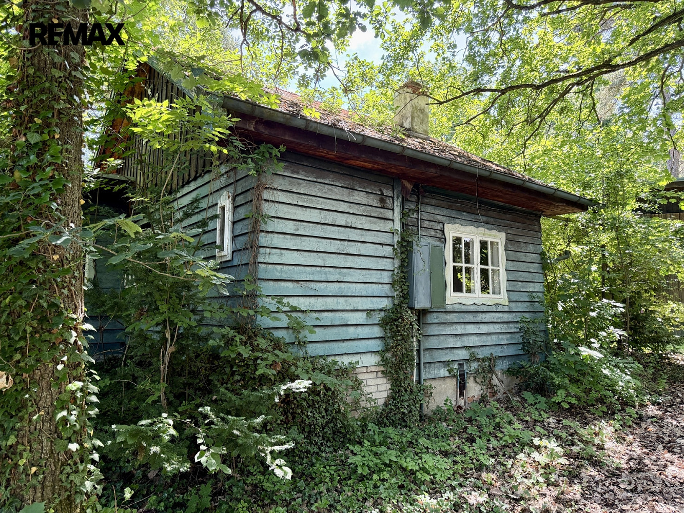 Prodej stavebního pozemku 1 195 m² – fotografie 5