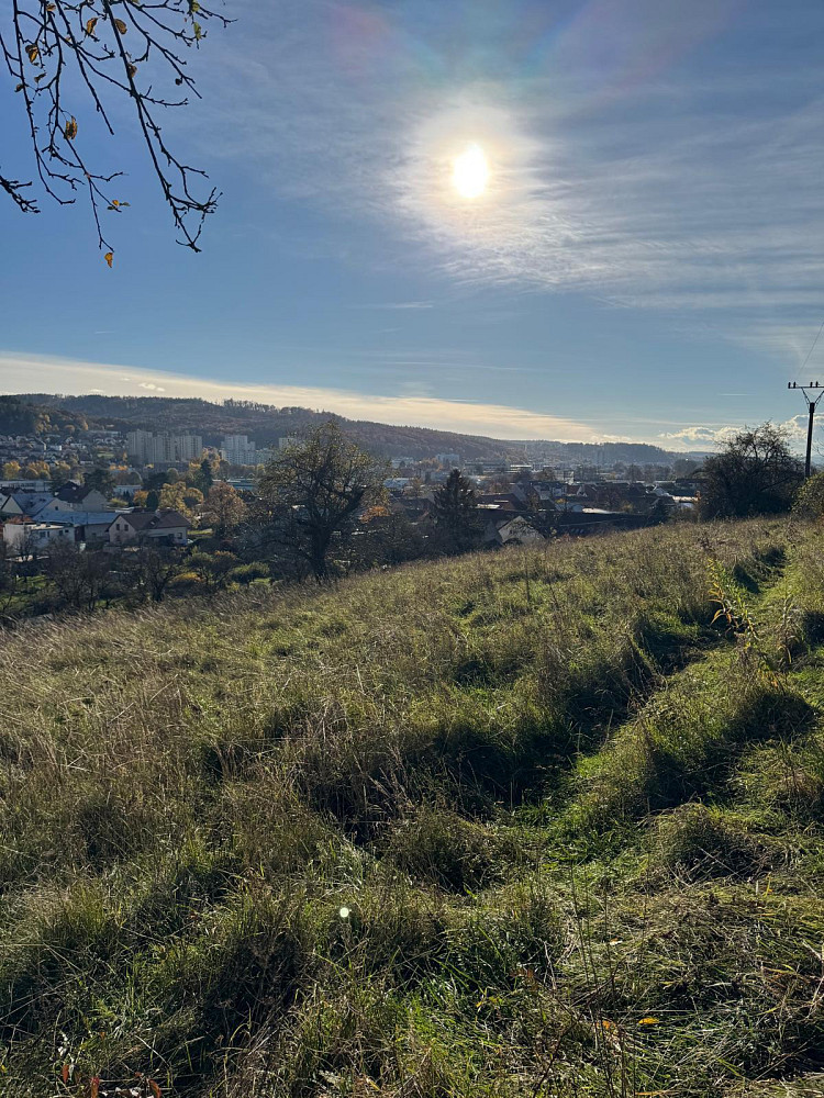 Prodej pozemku 3 479 m² – další