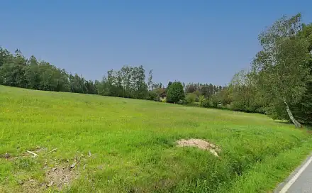Prodej stavebního pozemku 3 343 m², Rušinov - Vratkov, okres Havlíčkův Brod