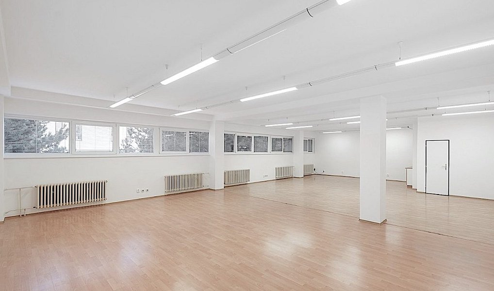 Pronájem skladovacích prostor 1 463 m², Hovorčovice – náhled fotky 3