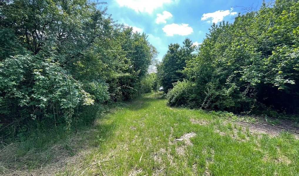Pronájem zahrady 2 982 m², Lipník nad Bečvou – náhled fotky 4