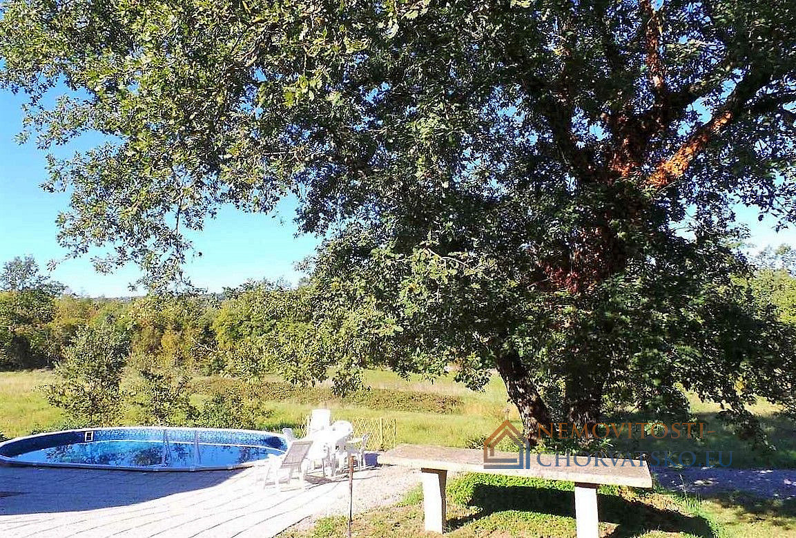 Prodej domu 152 m² s pozemkem 50 000 m² - Widok 6