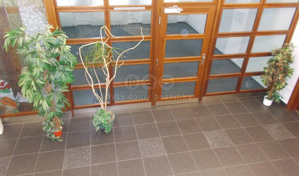 Pronájem obchodních prostor 170 m², Nový Jičín – náhled fotky 11