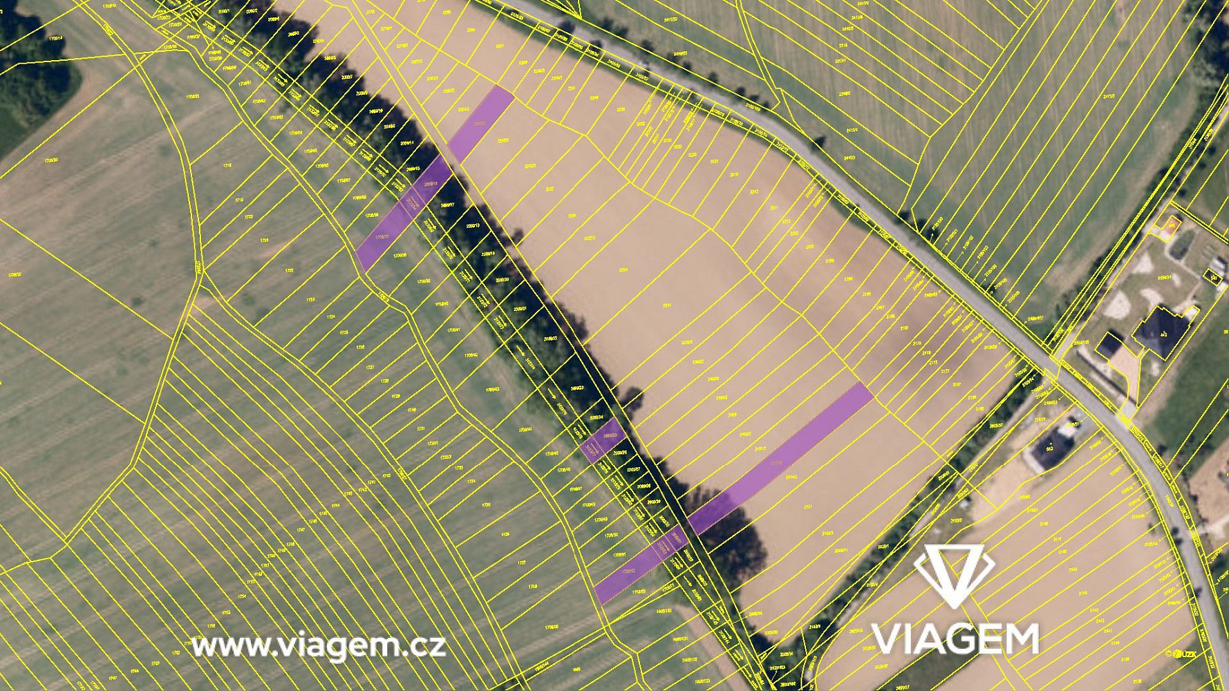 Prodej pole 1 364 m² – fotografie 4
