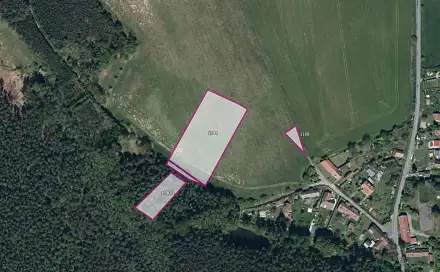 Prodej louky 19 893 m², Zaječice, okres Chrudim