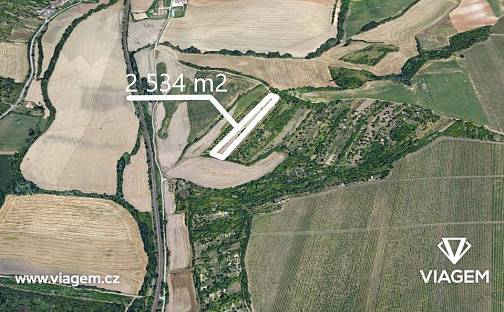 Prodej zahrady 844 m², Kyjov, okres Hodonín