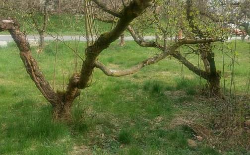 Pronájem zahrady 390 m², Olomouc - Slavonín