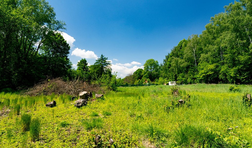 Prodej zahrady 2 646 m², Orlová – náhled fotky 9