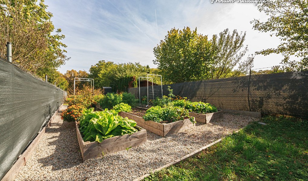 Prodej zahrady 890 m², Šlapanice – náhled fotky 5