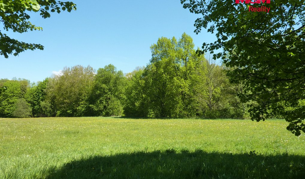 Prodej louky 20 490 m², Náchod – náhled fotky 7