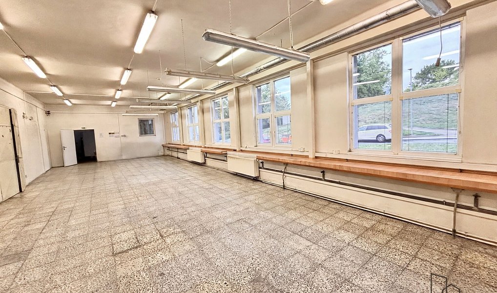 Prodej komerčního objektu (jiného typu) 244 m², Šternberk – náhled fotky 7