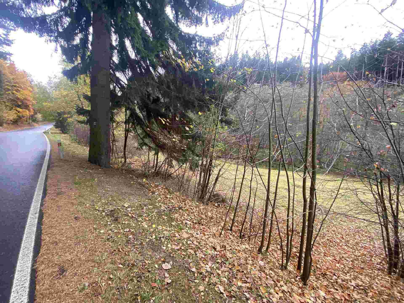 Prodej pozemku 1 223 m² – fotografie 2