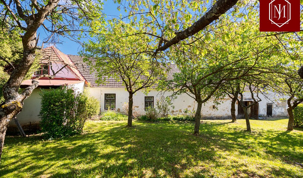Prodej chaty/chalupy 269 m² s pozemkem 2 309 m², Knínice – náhled fotky 6